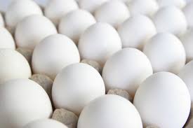 White poultry eggs