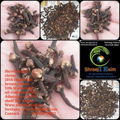 SHREEJI EXIM SUN DRY Cloves