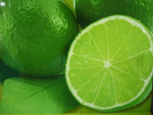 Fresh Seedless Lime High Quality (Vietnam)