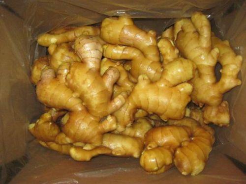 Supplier Fresh Ginger High Quality With Competitive Price (Vietnam)