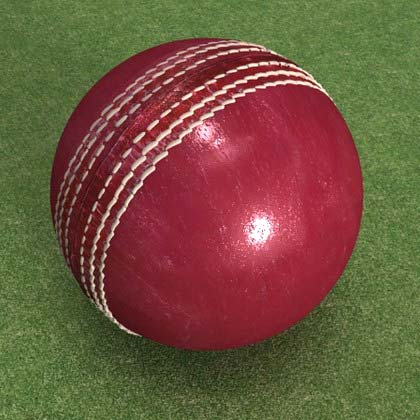 Leather Cricket Balls