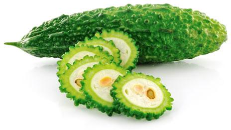 Organic Fresh Bitter Gourd, Packaging Size : Jute Bag