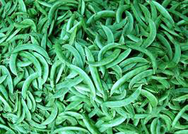 Organic Fresh Valor Beans, For Cooking, Packaging Type : Net Bag