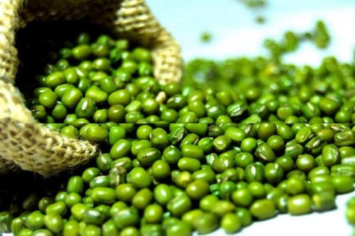 Green moong dal, Storage Instructions : Dry Place