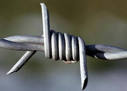 Barbed Wire, Length : 100 Feet