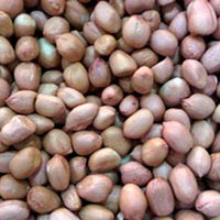 Java 60-70 Groundnut Kernels