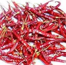 273 Dried Red Chilli