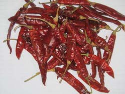 ENDO-5 Dried Red Chilli