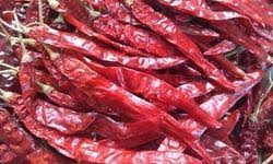 Guntur Red Chilli