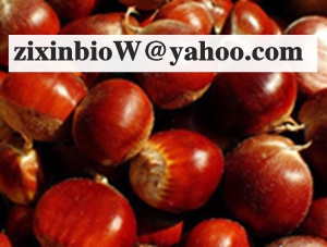 Chestnut Shell Extract