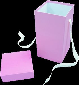 Paper Packing Gift Box, Packaging Type : pink