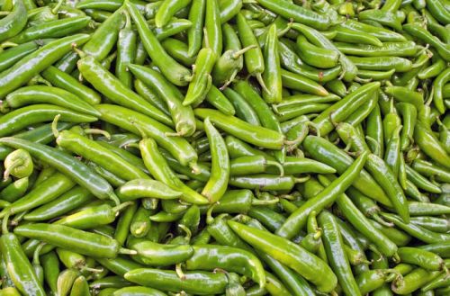 Fresh Green Chilli