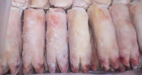 Frozen Pork Feet