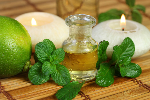 Peppermint Oil, Application : Pharmaceutical