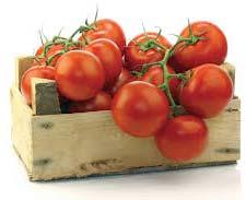 Lycopene