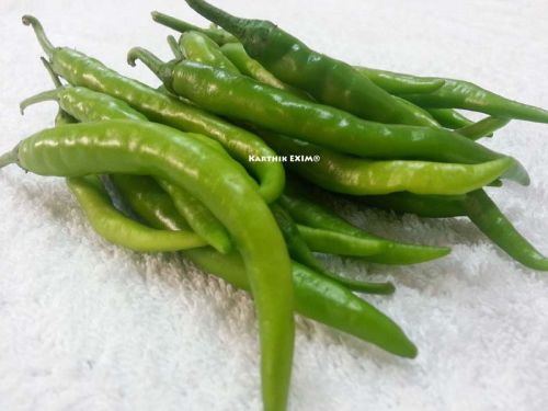 Green chilli, Cultivation Type : Organic