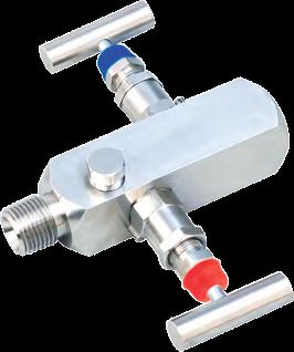 Two Manifold Valve