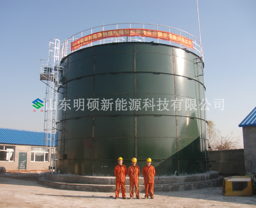 Carbon steel Biogas Digester Fermentation Tank