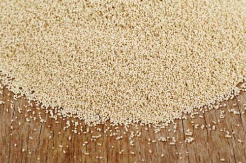 Dry Yeast 500gr