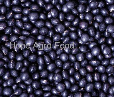 Dry Black Beans