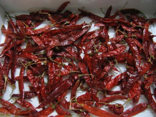 Red Chilli Sauce, Certification : SGS