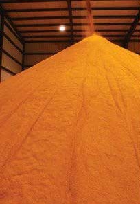 Fish meal, Salt : 2%