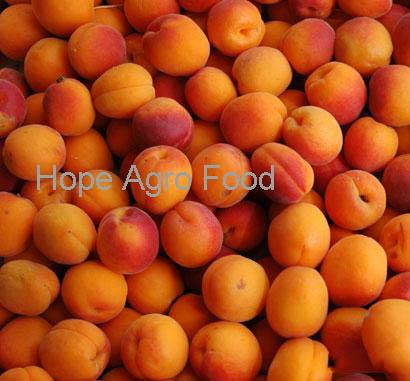 Frozen Apricot
