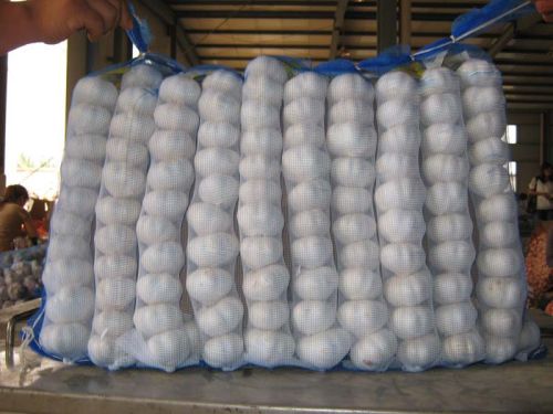 Garlic, Number Of Flower : Vegetable