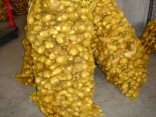 Ginger, Low In Calories