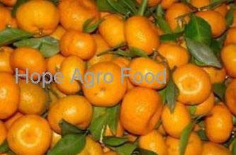 Mandarin Orange