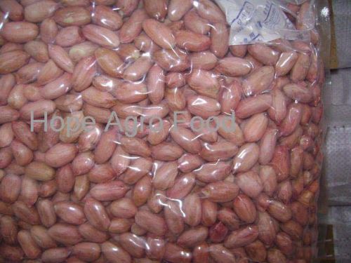 Raw Peanut Kernels