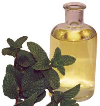 Menthol Oil