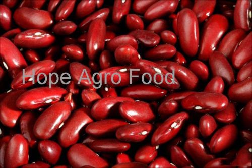 Kidney Beans, Drying Process : Sun Dried