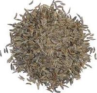 Organic Caraway Seeds, For Cooking, Spices, Variety : Shahi Jeera