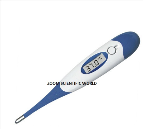 ZOOM Clinical Digital Thermometer, Certification : CE Certified