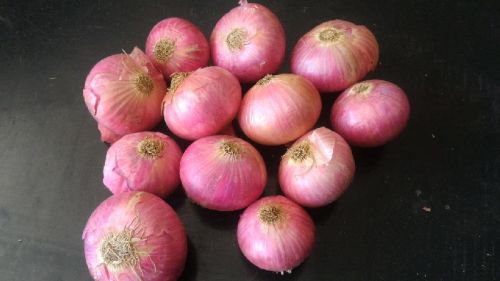 Common Fresh Onions, For Cooking, Enhance The Flavour, Human Consumption, Packaging Type : Jute Bags