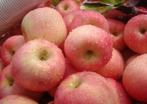 Apple, Shelf Life : 15 Days