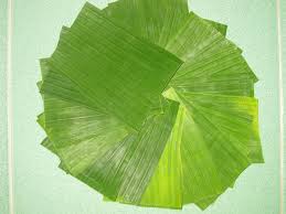 Banana leaf