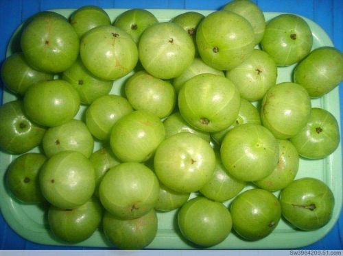 Organic Amla Extract, Packaging Size : 5-20kg