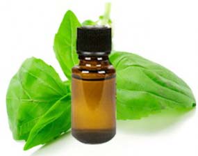 Blended Organic Basil Oil, For Body Care, Skin Care, Certification : FSSAI Certified