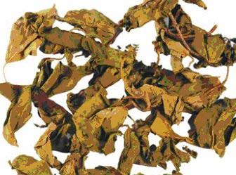 Gurmar Extract, For Nutraceutical, Purity : 100% Natural