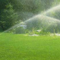 Garden Sprinkler