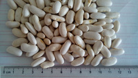 White kidney beans, Packaging Size : 20Kg
