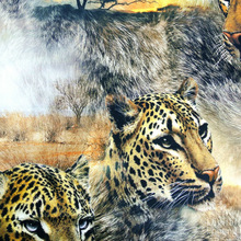 Digital Printed Fabric