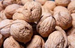 Walnuts, For Bakery, Chacolate, Health Care, Milk Shakes, Nutritious Food, Taste : Crisp Fragrance