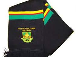 Printed School Scarves, Specialities : Comfortable, Impeccable Finish