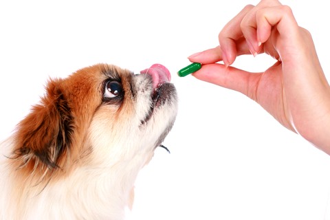 Veterinary Pharmaceutical