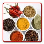 Indian Spices