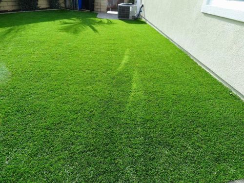 Artificial Grass