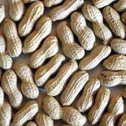 Shelled Groundnuts